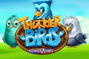 Power Zones: Thunder Birds - IDAGENT138